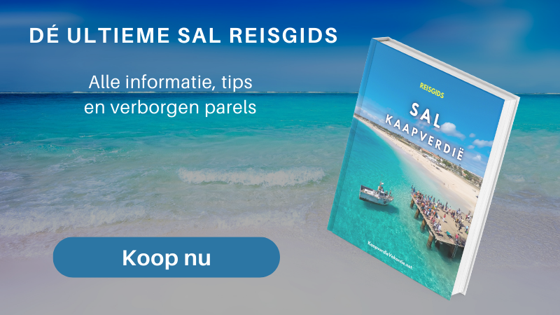 Reisgids Sal
