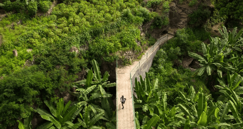 santo antao - tropische vegatatie gezien vanuit de lucht