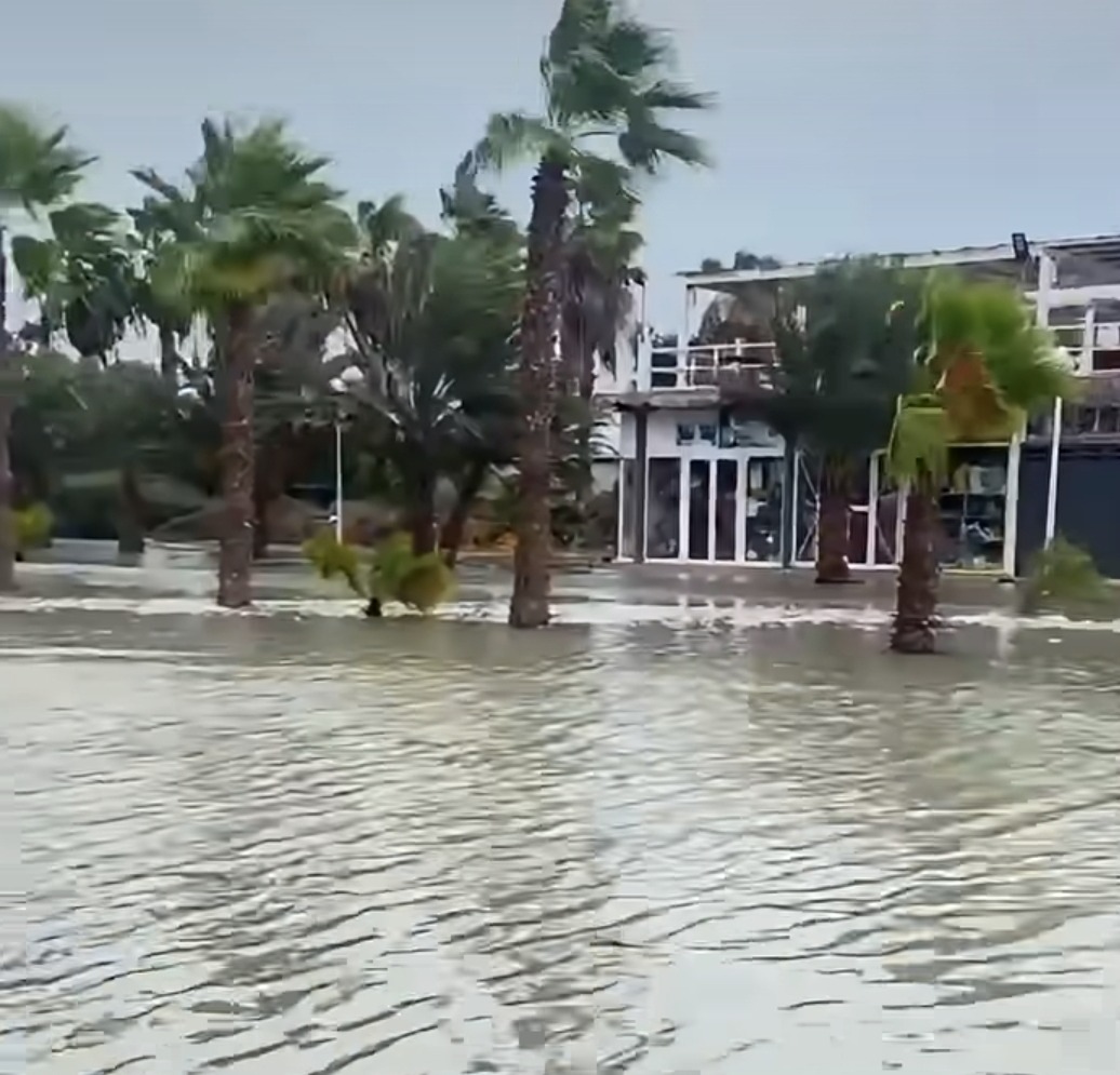 Ondergelopen straat met palmbomen in Santa Maria tijdens storm Gonzalo.